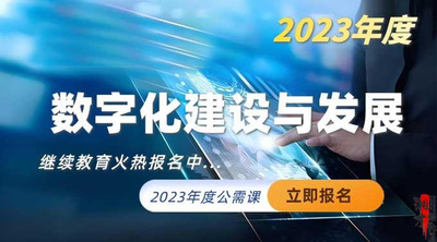 数字化建设与发展（2023年度）
