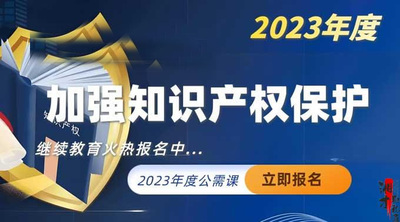 加强知识产权保护（2023年度）