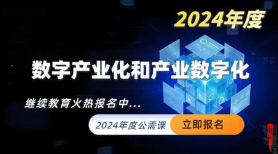 数字产业化和产业数字化（2024年度）