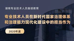 专业技术人员在新时代国家治理体系和治理能力现代化建设中的担当作为