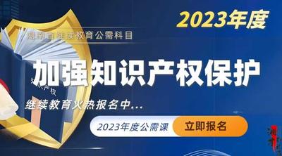 2023年湖南省公需科目培训班（加强知识产权保护）