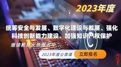 统筹安全与发展、数字化建设与发展、强化科技创新能力建设、加强知识产权保护（2023年度）