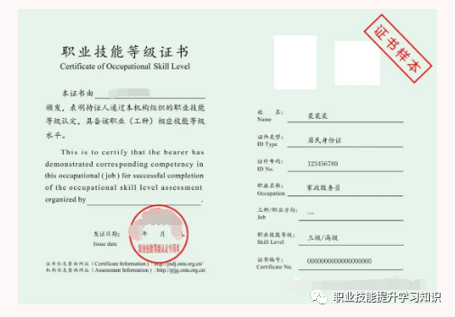 湖南省家政服务员职业技能等级证书|家政服务员职业资格证|家政服务员职业技能